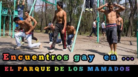 gays mamados